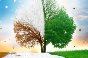 Seasonal LASIK Marketing: Why January, Summer, and FSA Season Are Your Biggest Opportunities featured image